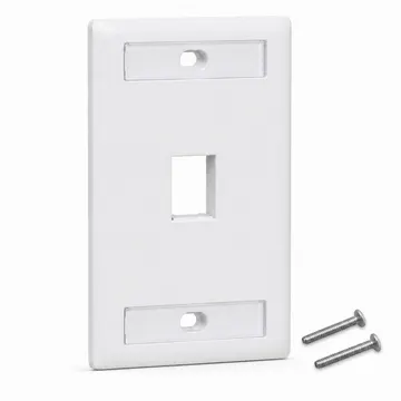 Placa de Pared Keystone profesional con doble etiquetero, 1 Puerto, Blanco — vista principal con dos tornillos de montaje incluidos